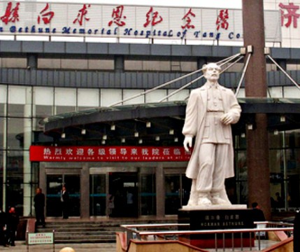 Statua Bethune