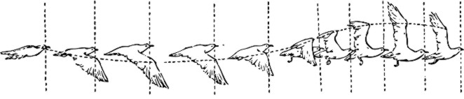 SCI 150612-00