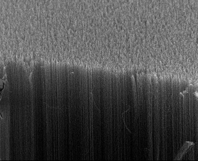 MUS 080316-05