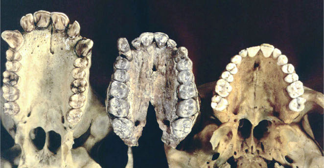 SCI 120616-01