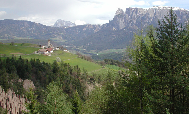foresta 2