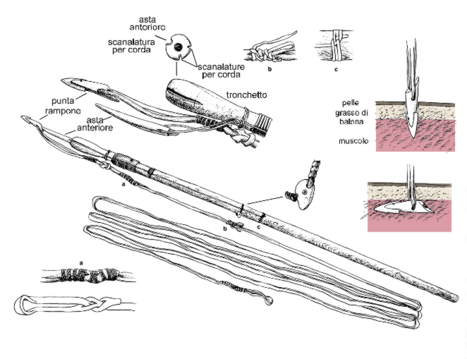 BLG 011616-00-662
