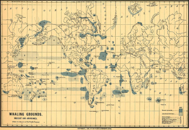 BLG 011616-02-662