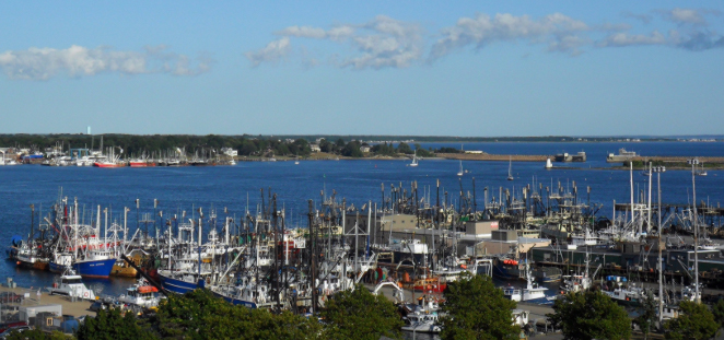 BLG 011616-04-662